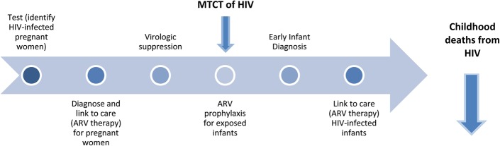 FIGURE 1.