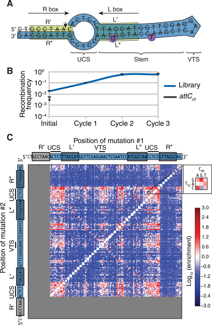 Fig. 4