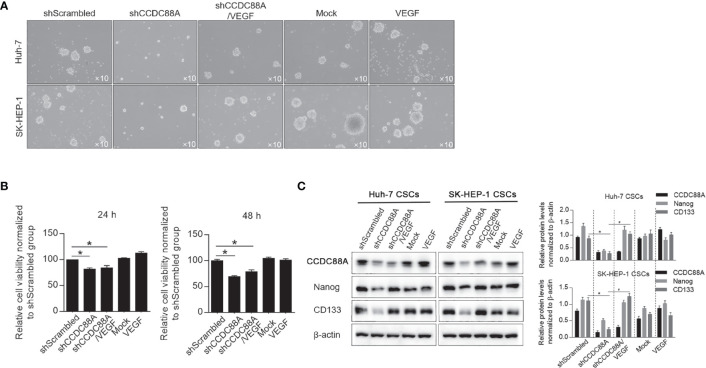 Figure 10