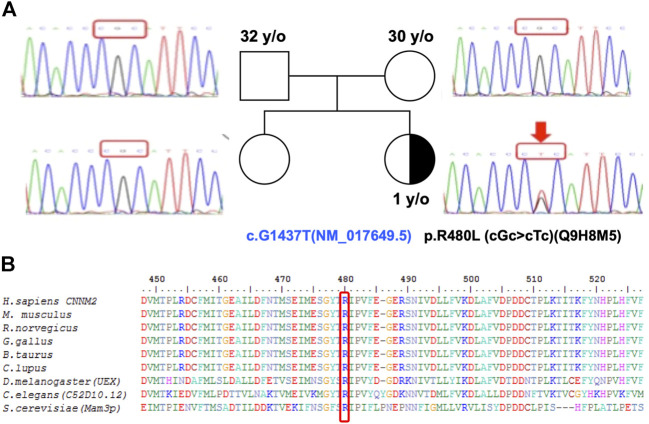 FIGURE 2