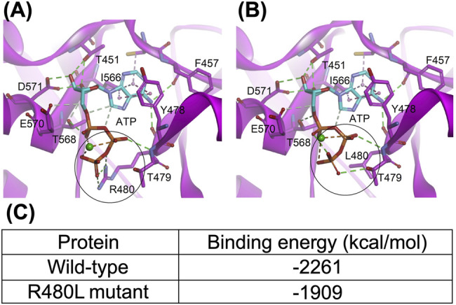 FIGURE 6