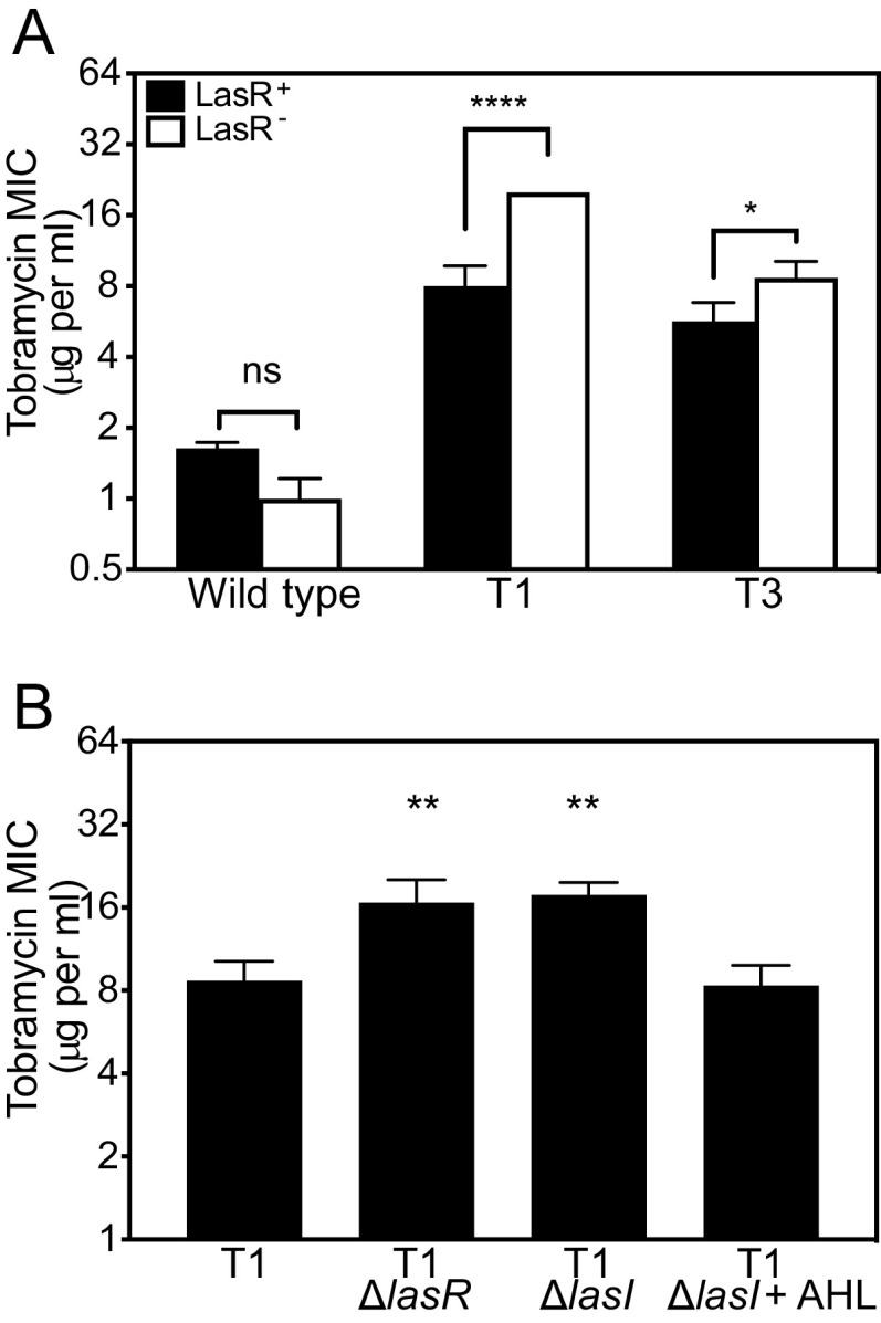 FIG 1