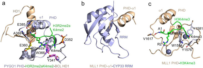 Figure 2: