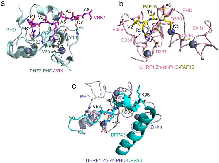 Figure 1: