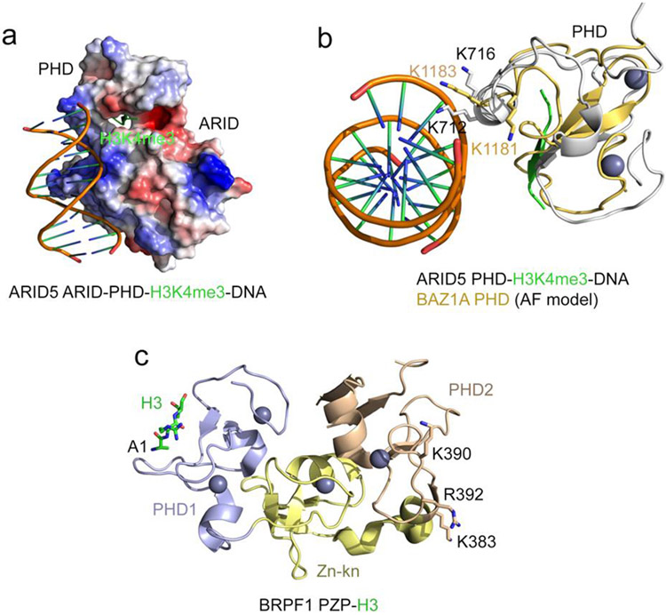 Figure 3: