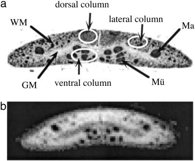 Fig 2.