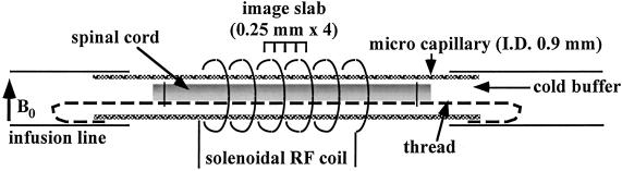 Fig 1.