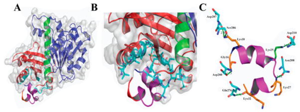 Figure 19