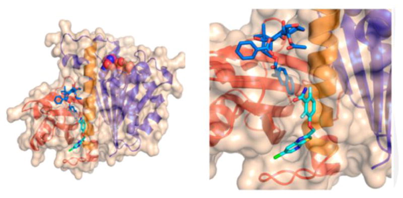 Figure 14