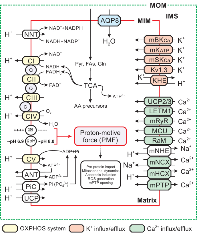 graphic file with name ars.2018.7534_figure2.jpg