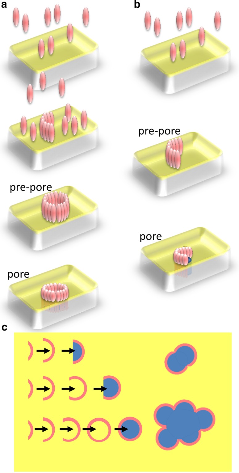 Fig. 1