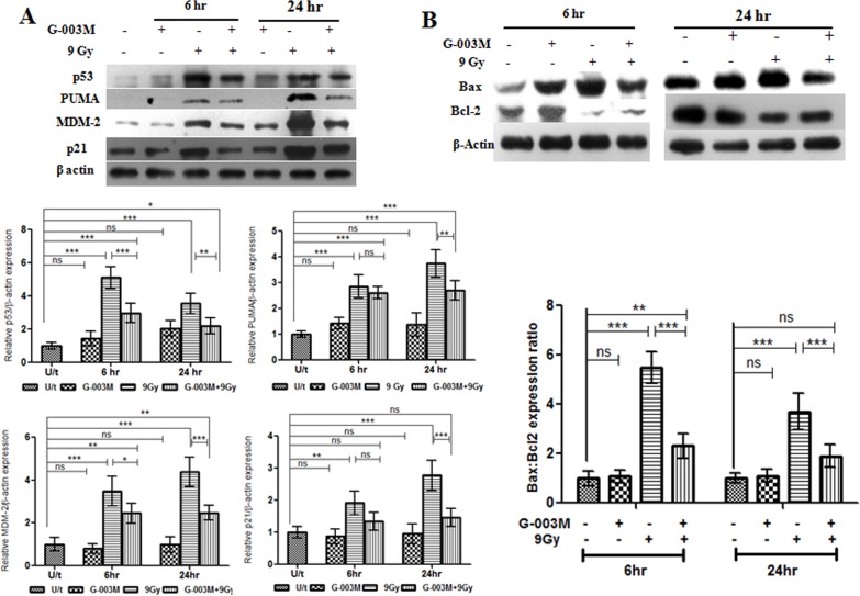 Fig 10