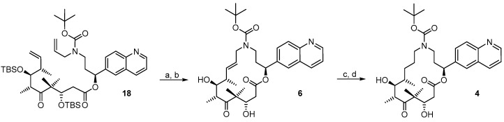 Scheme 5