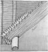 482-4