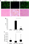 <b>Figure 3</b>