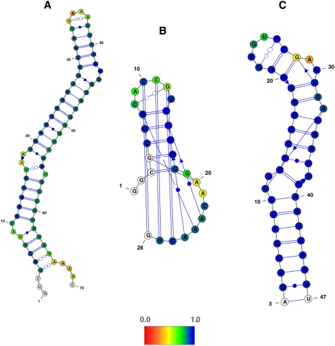 FIGURE 2.