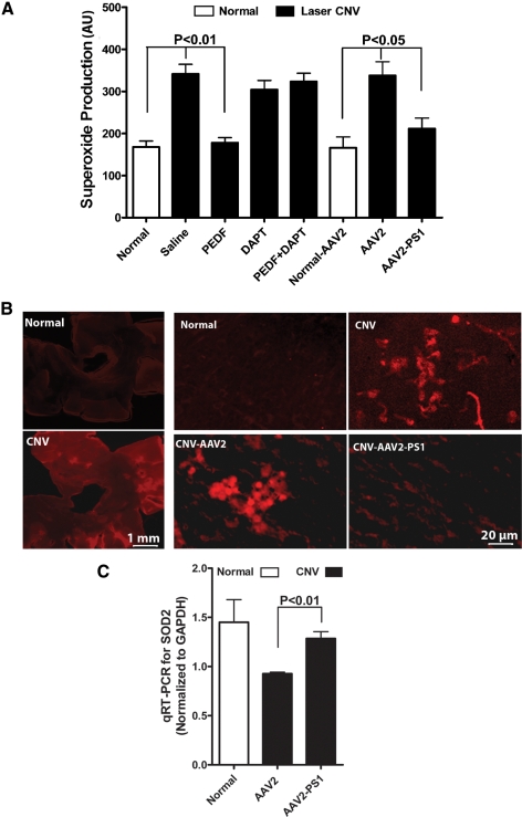 Figure 6.