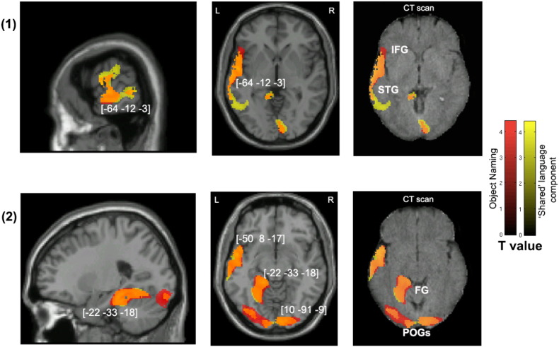 Fig. 2