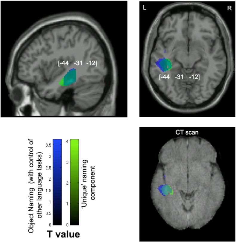 Fig. 5