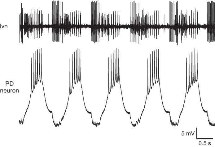 Fig. 16.