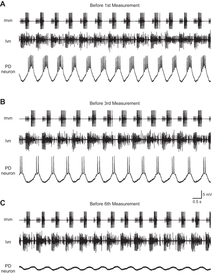 Fig. 14.