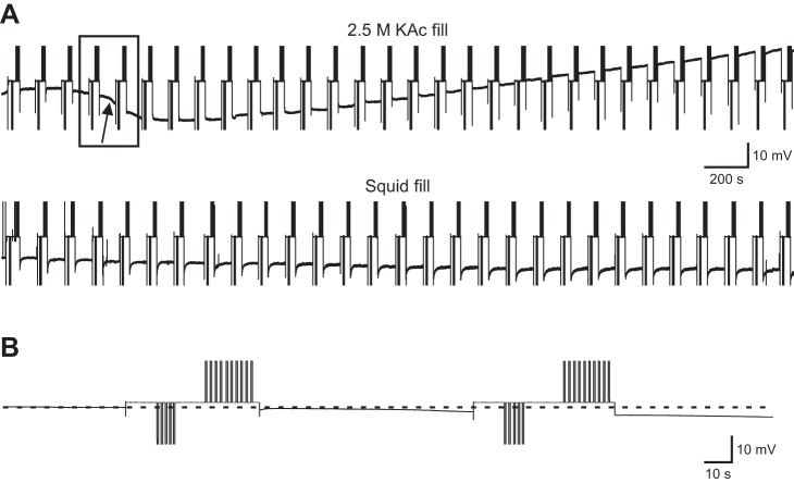 Fig. 8.