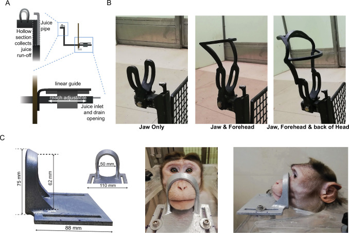 Figure 2—figure supplement 3.