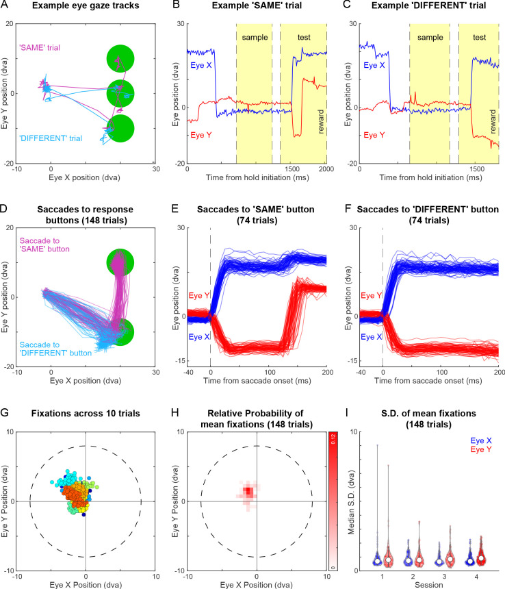 Figure 3—figure supplement 1.