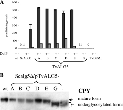 FIG. 4.