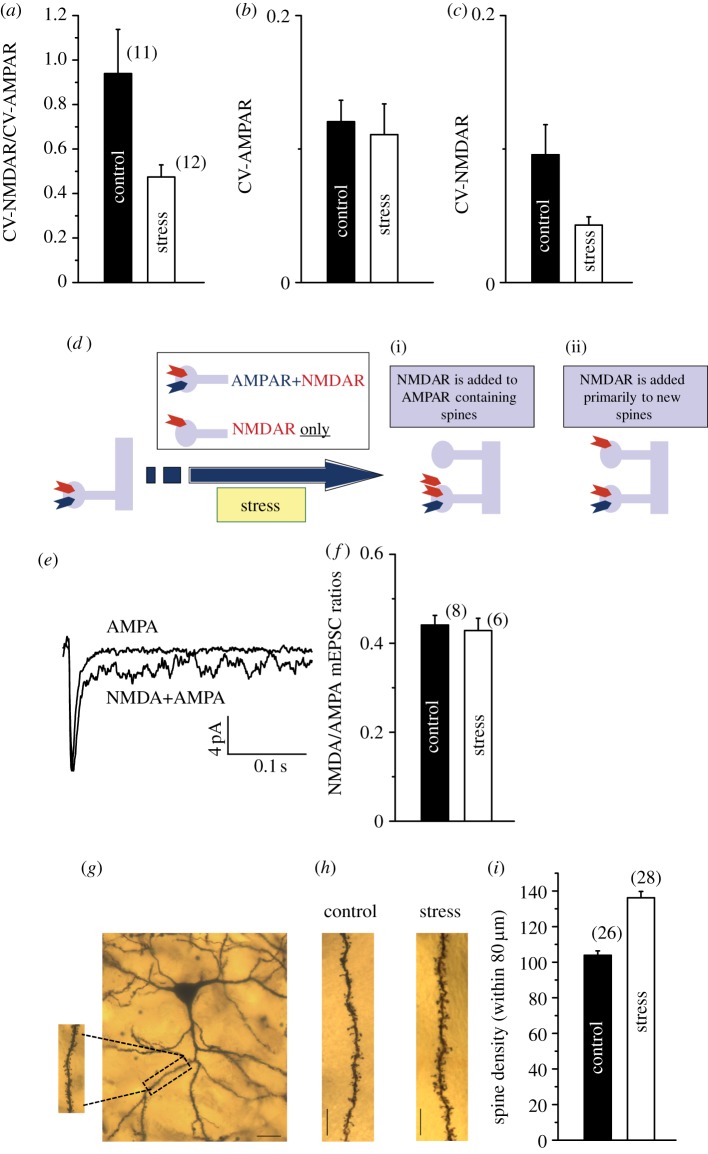 Figure 2.