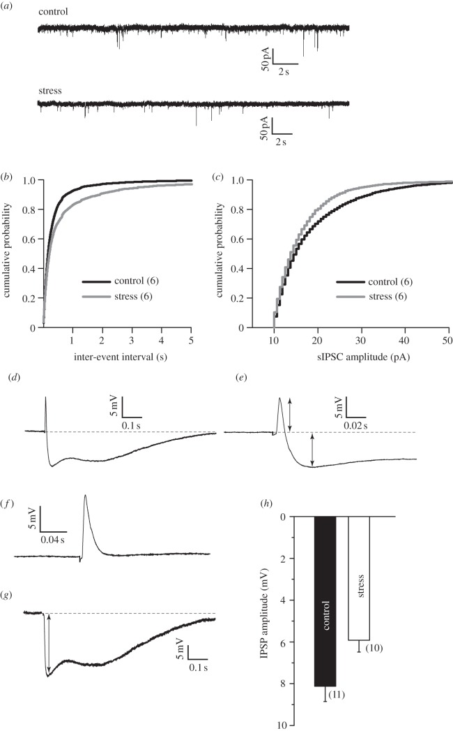 Figure 3.