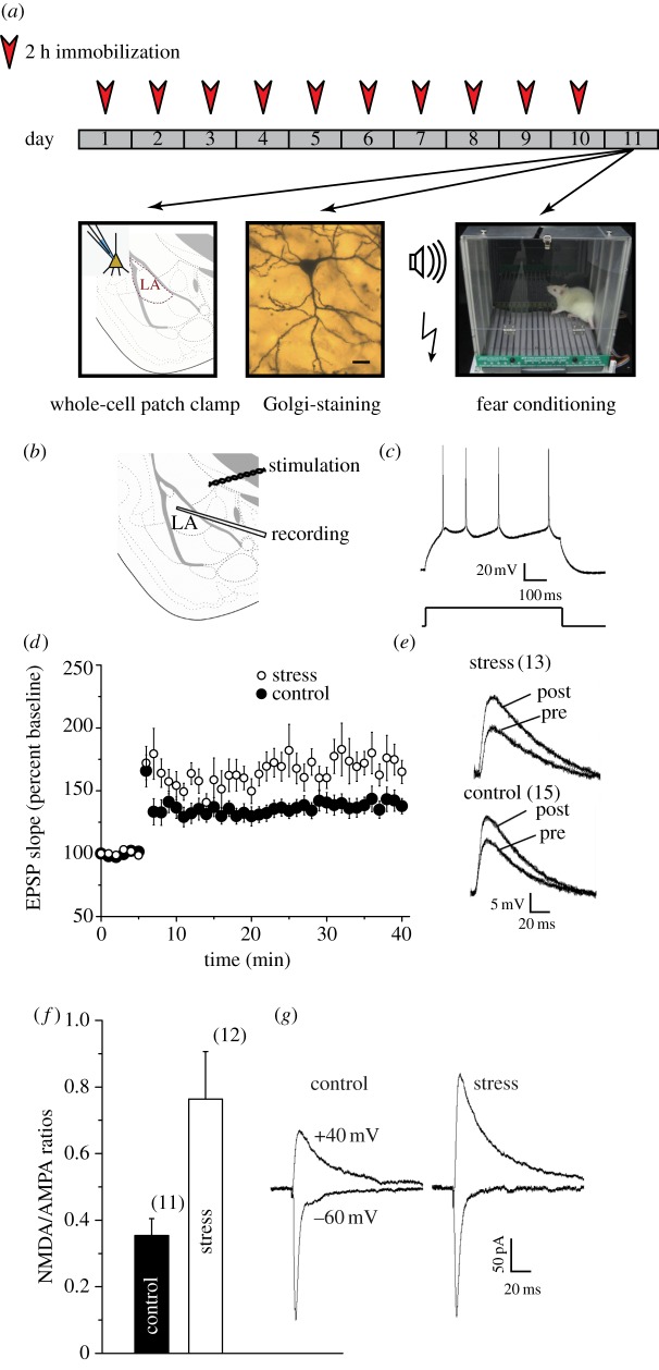 Figure 1.