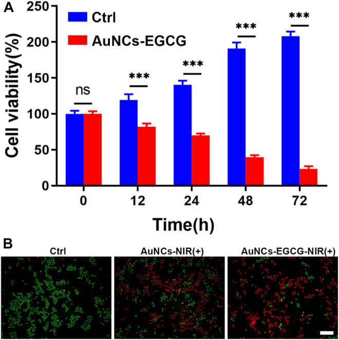 FIGURE 4
