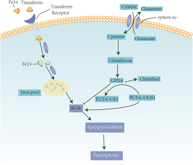 FIGURE 1