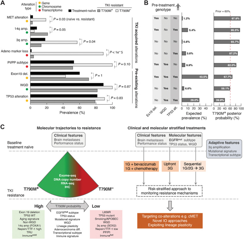 Figure 4. Data-driven TKI treatment algorithm. A, Genomic and transcriptomic alterations with distinct frequencies in patients with T790M+ and T790M− disease. The observed prevalence of each alteration in T790M+ and T790M− groups as well as patients with treatment-naïve late-stage EGFR-mutated tumors are shown. Testing the null-hypothesis that frequencies of individual alteration types are not different between treatment-naïve and resistant cohorts, alterations were divided into either likely pre-existing or likely TKI-treatment acquired alterations. B, The expected patient prevalence for each (n = 8) combination/genotype of the three inferred pre-existing alterations. The posterior probability was estimated for each genotype using Bayesian updating. C, Summary of molecular features that modify probability of T790M (left), and potential to use baseline clinical and molecular features, as well as adaptive changes to determine optimal therapeutic strategy (right).