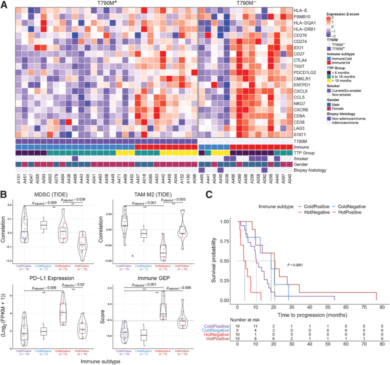 Figure 3. Stromal transcriptomic correlates of EGFR TKI resistance. A, Relative expression of genes used in the immune GEP calculation (39). Patients were clustered into two groups using consensus k-mean clustering and sorted by T790M status followed by time to progression (TTP). B, Comparison of immune-suppressive cells correlation index (derived using TIDE) and expression levels of immune checkpoint genes (PD-L1 gene expression shown here) between immune subtypes. Immune GEP score was calculated using the method from Cristescu et al. (39). Horizontal line demarcates GEP score of −0.318, defined as the cutoff for high GEP in the original article. Pairwise comparison test was carried out using Games–Howell test and P values were adjusted using Benjamin–Hochberg procedure. C, Kaplan–Meier curve of EGFR TKI TTP comparing different immune subtypes.