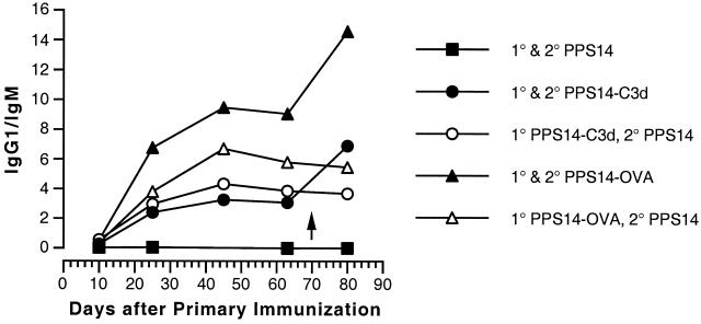 FIG. 4