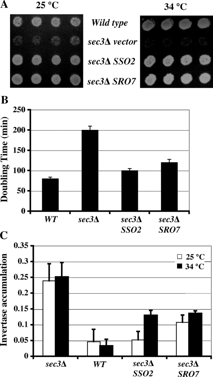 Figure 7.