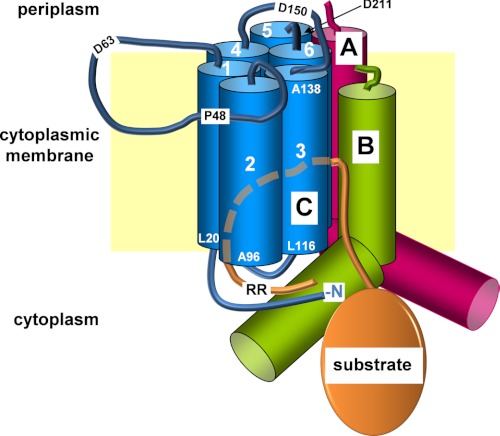 FIGURE 7.