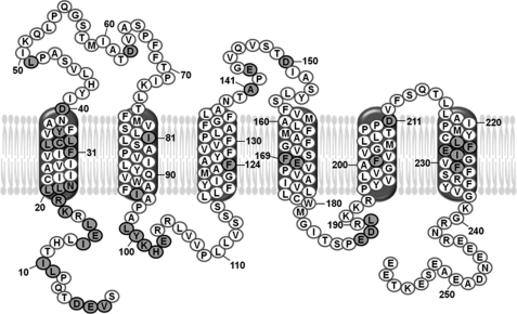 FIGURE 1.