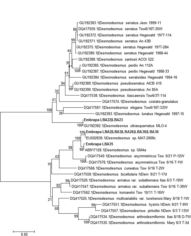 Fig 3