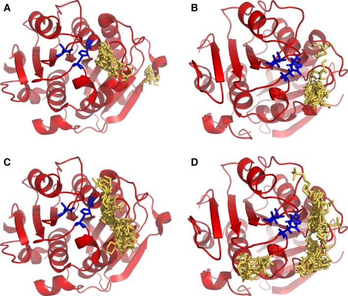 Figure 5