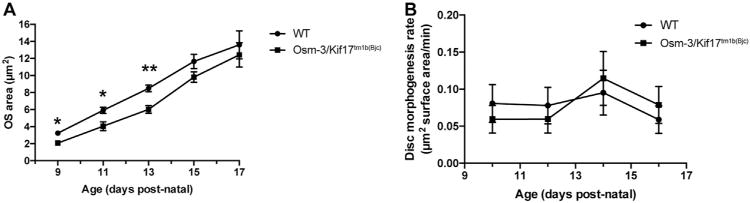 Fig. 10