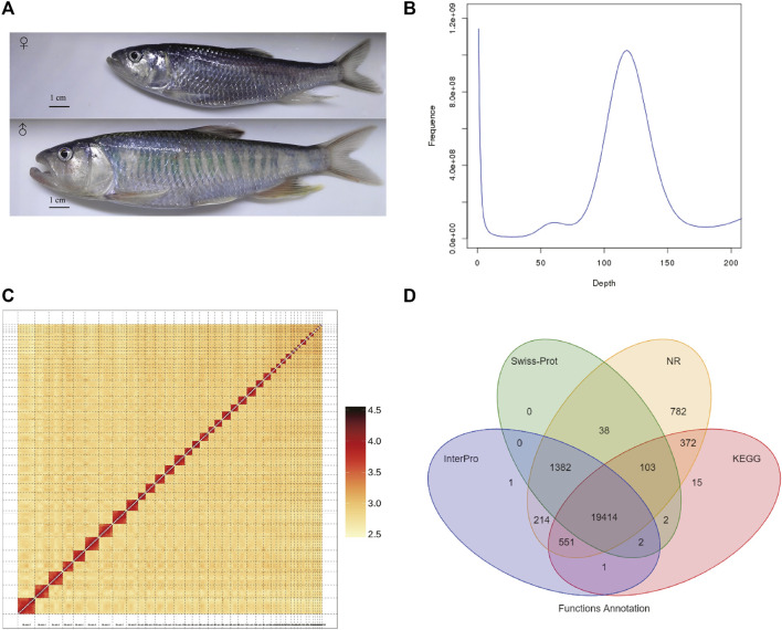 FIGURE 1