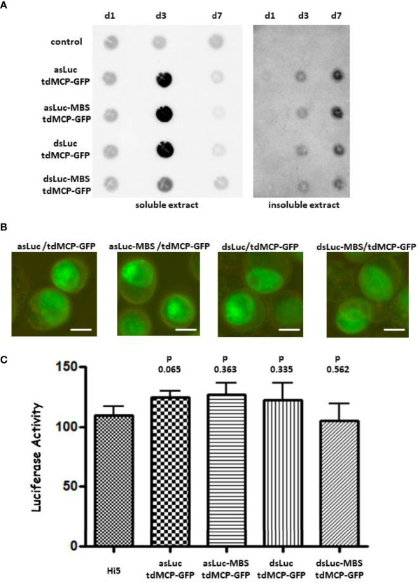 Figure 6