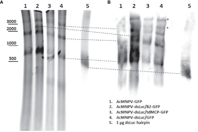 Figure 7