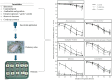 Graphical Abstract
