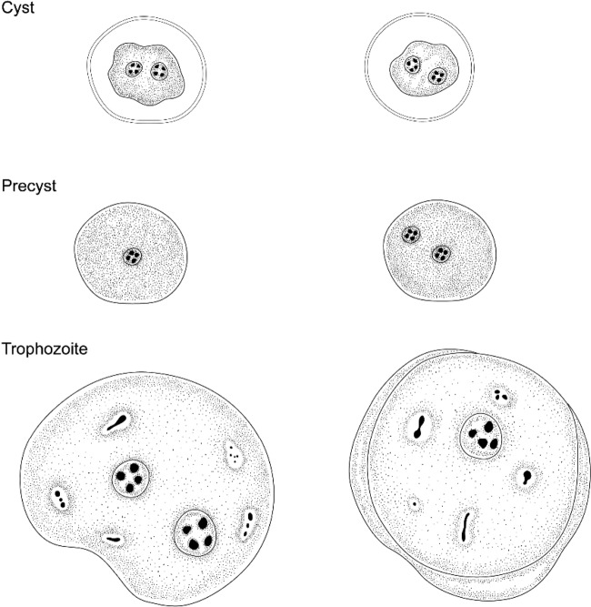 FIG 3