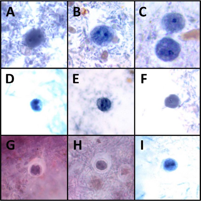 FIG 2