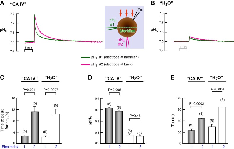 Fig. 18.